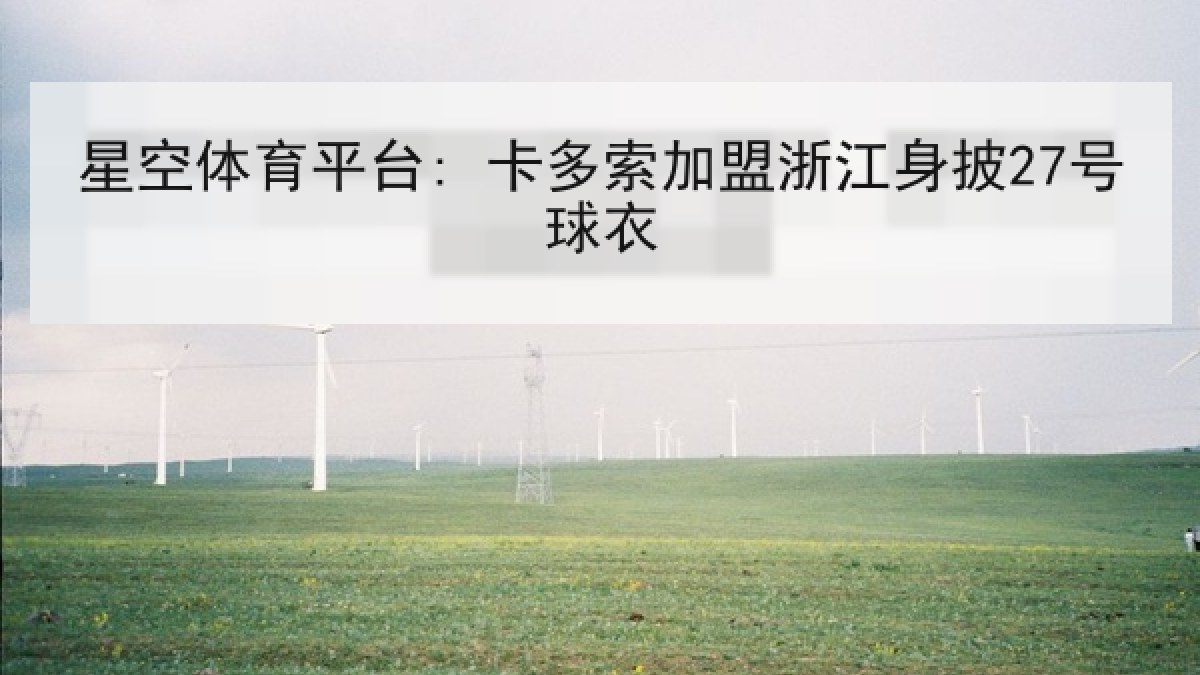 星空体育平台: 卡多索加盟浙江身披27号球衣
